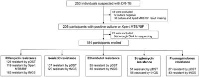 Rapid detection of multidrug resistance in tuberculosis using nanopore-based targeted next-generation sequencing: a multicenter, double-blind study